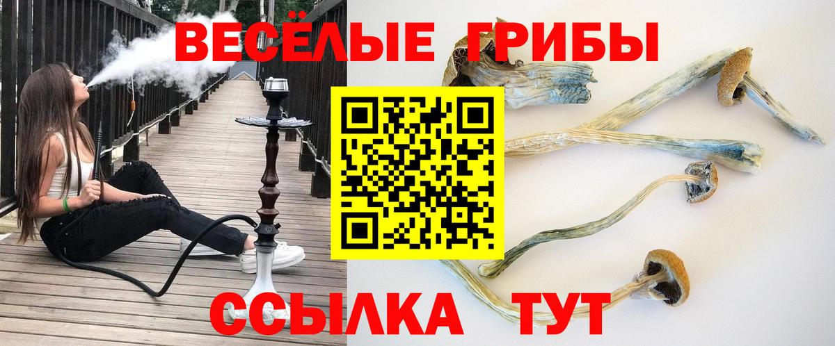 Галлюциногенные грибы Magic Shrooms  магазин    Вход с VPN  Вольск  Галлюциногенные грибы MAGIC MUSHROOMS 
