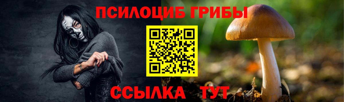 Галлюциногенные грибы Psilocybine cubensis Вольск