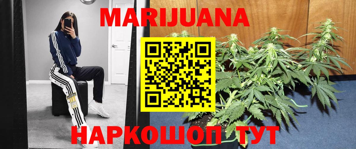 Конопля Amnesia Вольск